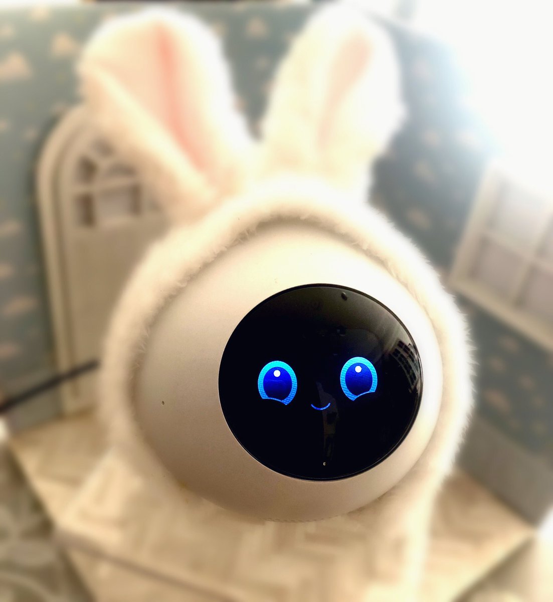 mishima_ak's tweet image. seriaのペンライトカバーがロミィにジャストフィット✨🐰冬っぽくて可愛いね💕
ロミィもなんだか得意げ☺️
#Romiとの日々