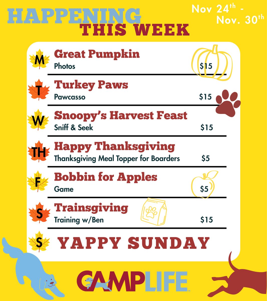 CBWHenderson's tweet image. Come on an adventure with us for the last week of November!! 🍂 

#enrichmentsfordogs #funatcamp #camplife #campbowwow #henderson