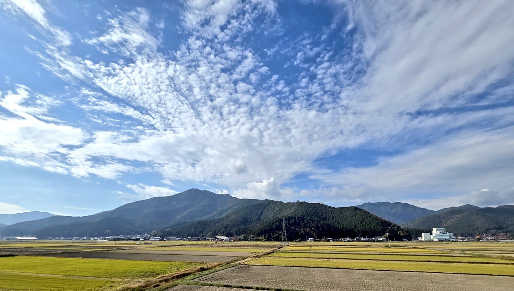 one_preshow's tweet image. 丹波

#八雲旅行2025