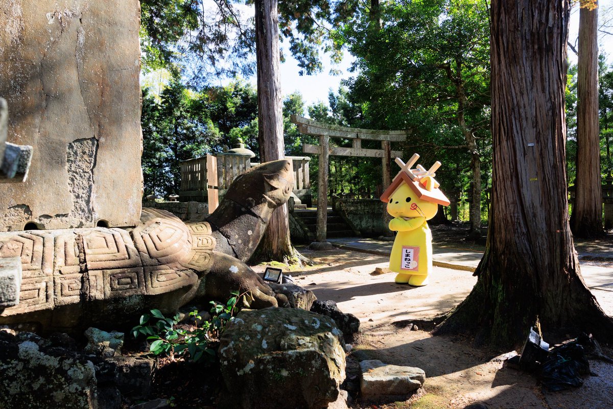 shimanekko_'s tweet photo. 松江藩主松平家の菩提寺
#月照寺 にゃ🌙 ( • ̀ω•́  )✧
伝説の大亀に会えるにゃ✨
#ばけばけ #しまねっこ https://t.co/bodSIXEKyy