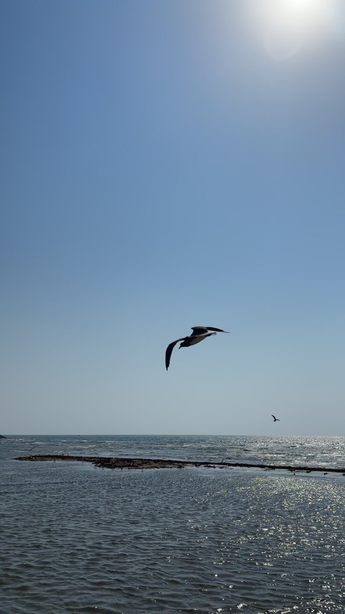 كشماء (@n199_1) on Twitter photo 