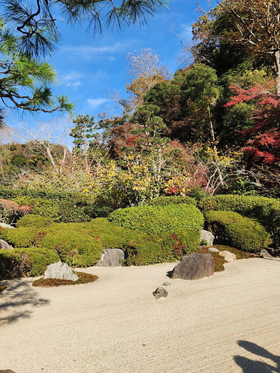 珍しく娘が24日はバイト入れないからどこか行こうと言うので、夫と3人で紅葉狩りに鎌倉へ🍁
朝９時半に北鎌倉からウォーキング開始して明月院へ行き、建長寺前のKOME TO COFFEEに並んでます。
暖かくて風もないし、行楽日和♡♡