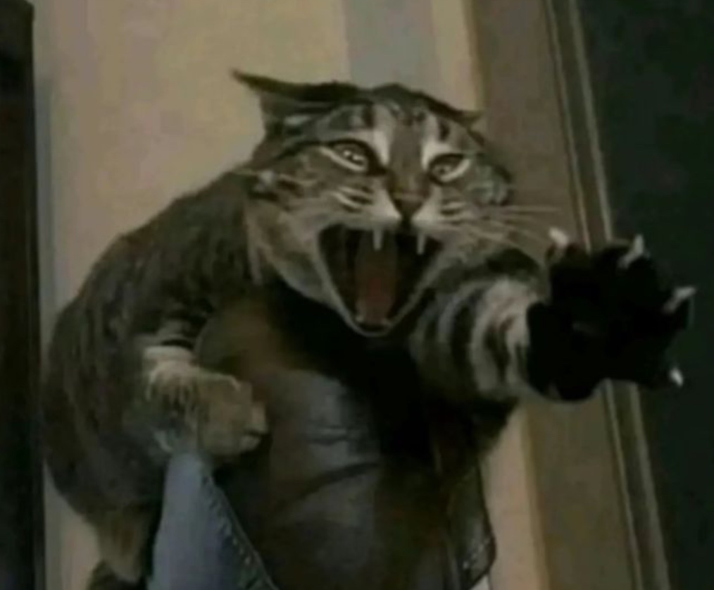 sunnii ꩜ .ᐟ 🍉 | HIATUS ‼️ (@pandesaleater_) on Twitter photo 