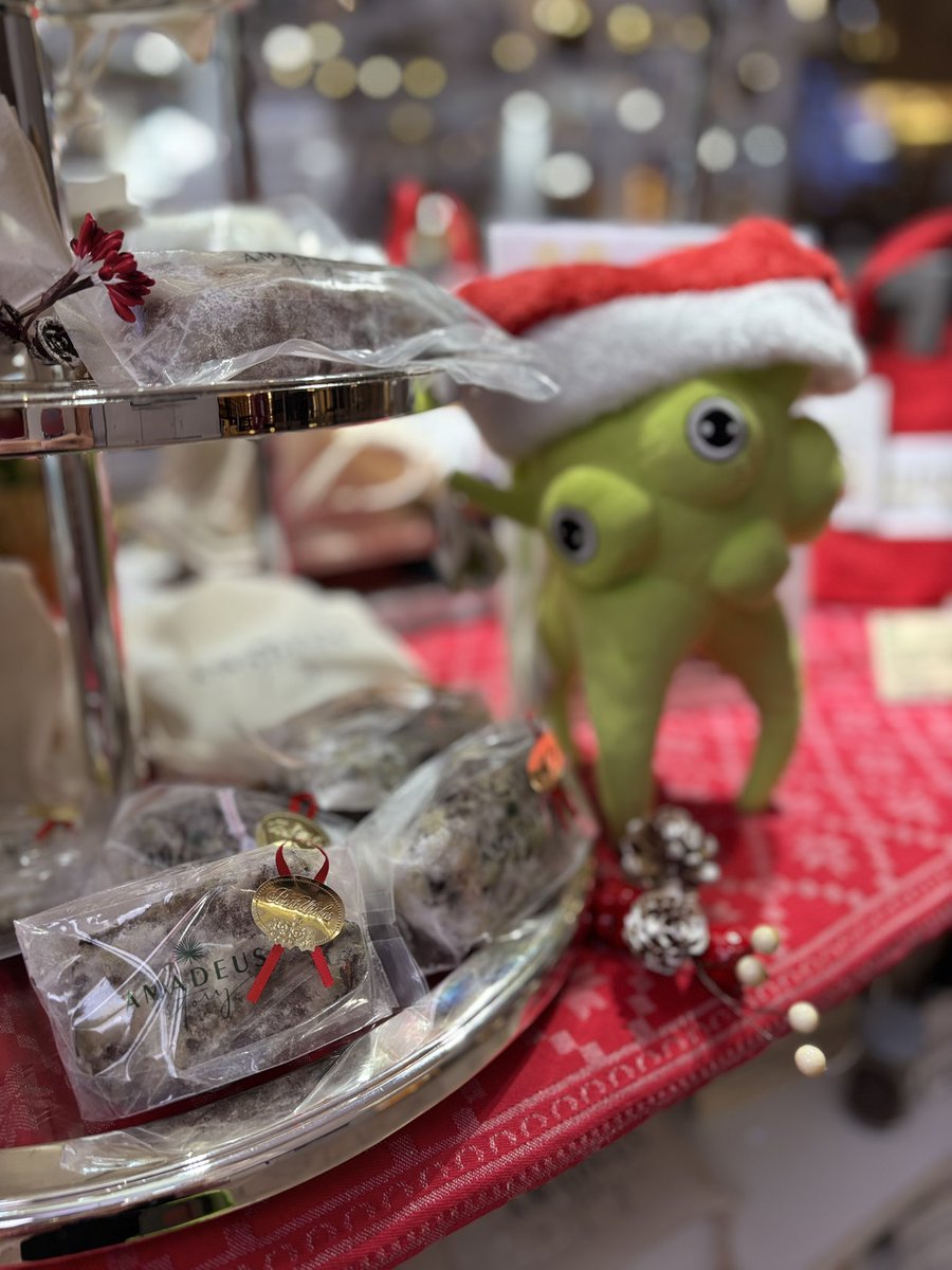 レネカラーのシュトレンでアドヴェントクリスマスを楽しみましょう‼︎
・
・
#レネ
#シュトレン
#クリスマスマーケット
#阪急うめだ本店9階祝祭広場
#アドヴェントクリスマス