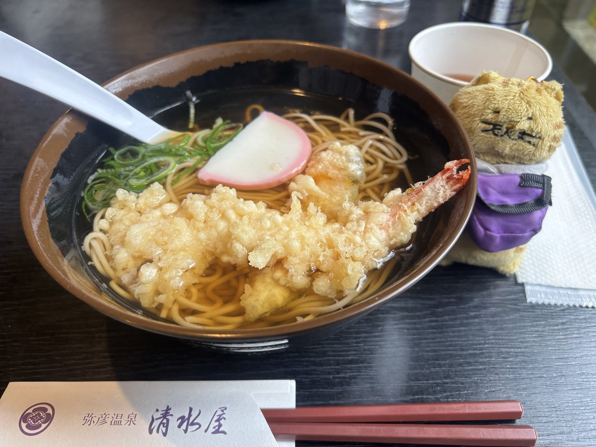 KaoTiamo's tweet image. 紅葉見に来た🍁そば〰️⭐️
#でぶねこ 
#そば