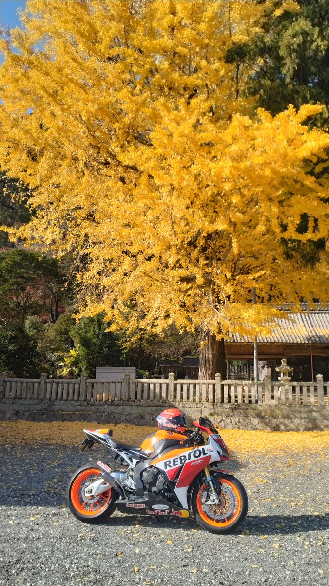 昨日は250cc今日はファイアーブレードでお散歩🏍️ 家に置いてきた