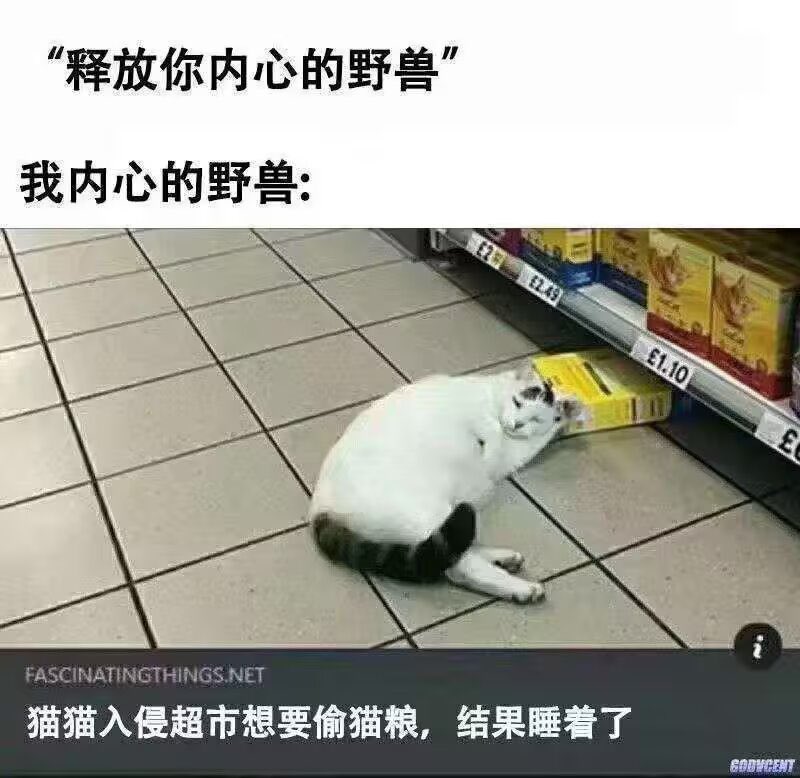 YunJiu's tweet photo. https://t.co/mA6D6Qi2ns