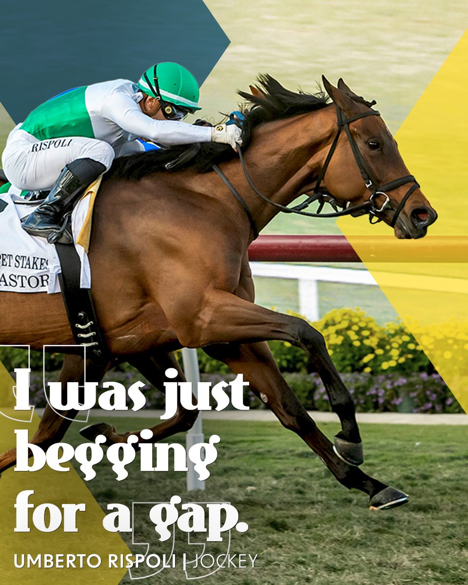 Del Mar Racetrack tweet media