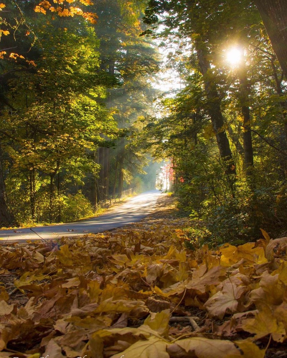 Enderclement's tweet image. go to pinterest and search 

“your name + core”
“your name + baking”
“your name + season”
“your name + pets”