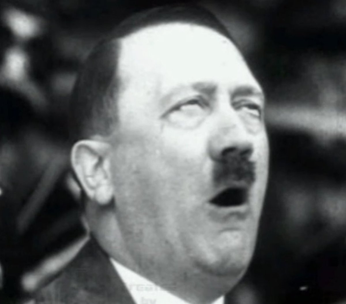 アドルフ・ヒトラー名言bot (@adolf0314) on Twitter photo 