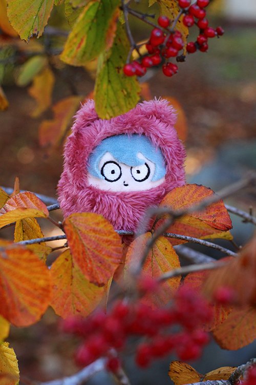 これは清純派女優のポートレートみたいな気持ちで撮ったたぴろう