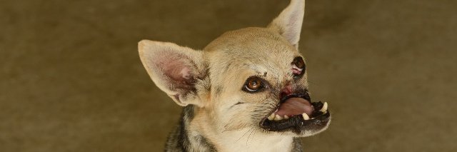 Hanabells17 tweet media