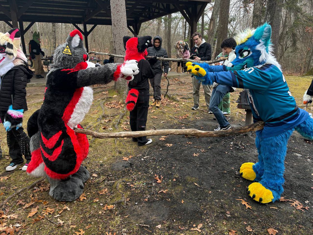 x - Rowan K9Dragon tweet media