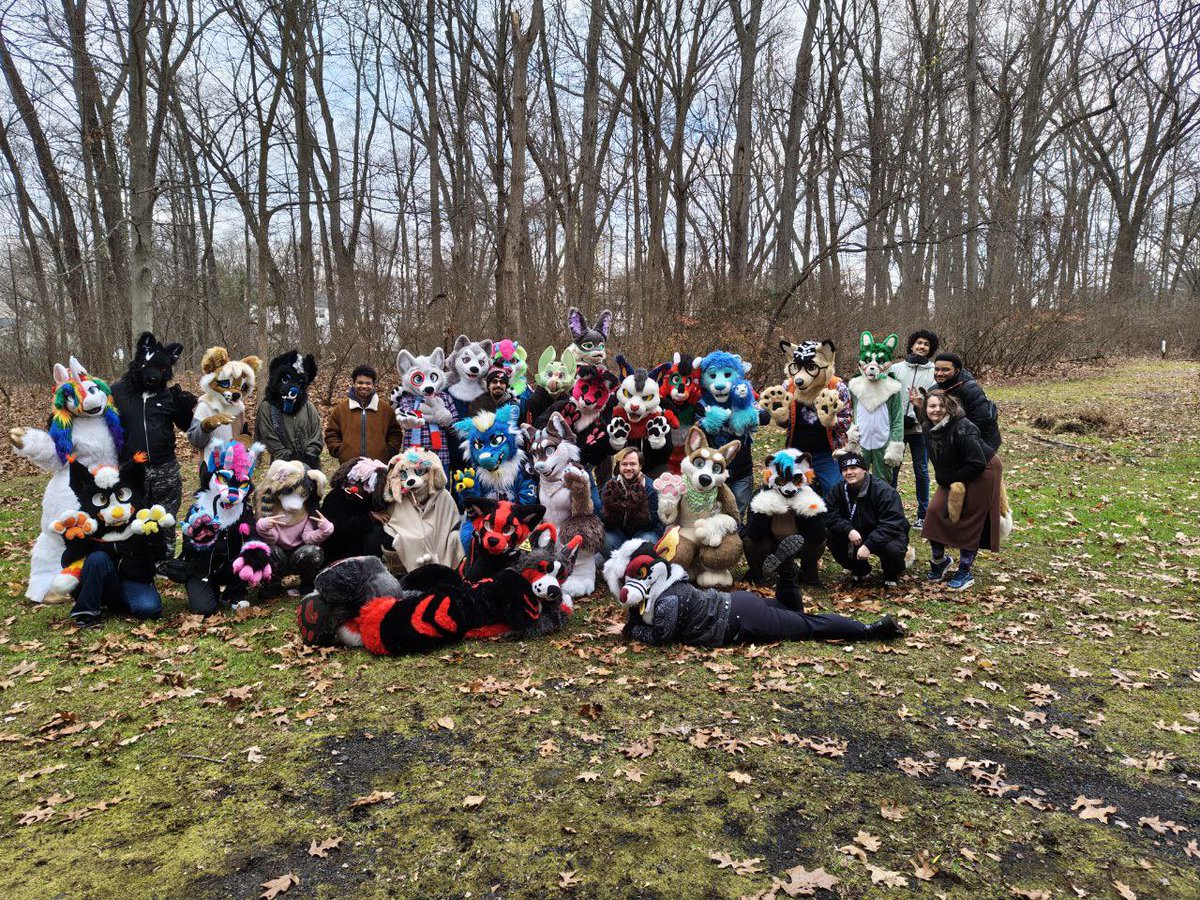 x - Rowan K9Dragon tweet media