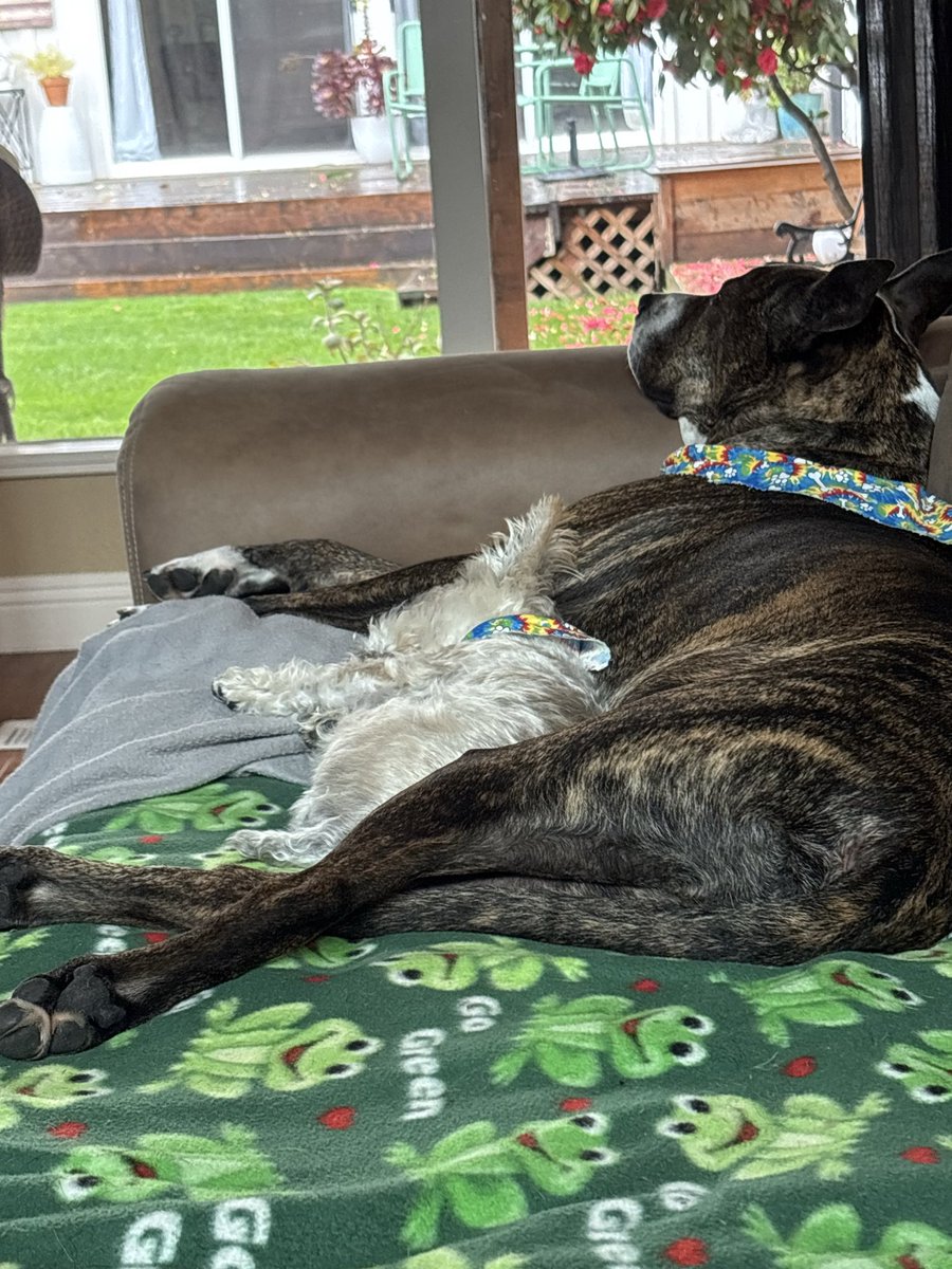 Ken Garrett tweet media