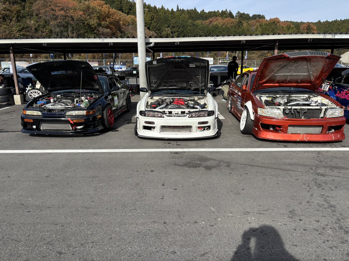 よーこ tweet media