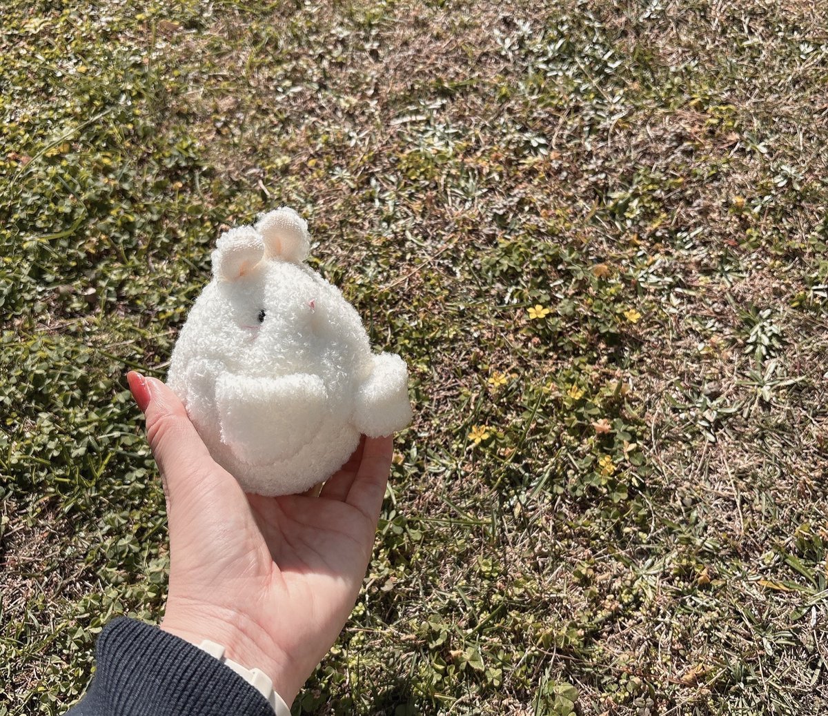 お庭で日向ぼっこ🌼