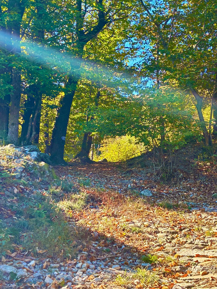 MsElephantGun's tweet image. 🫂💙💛