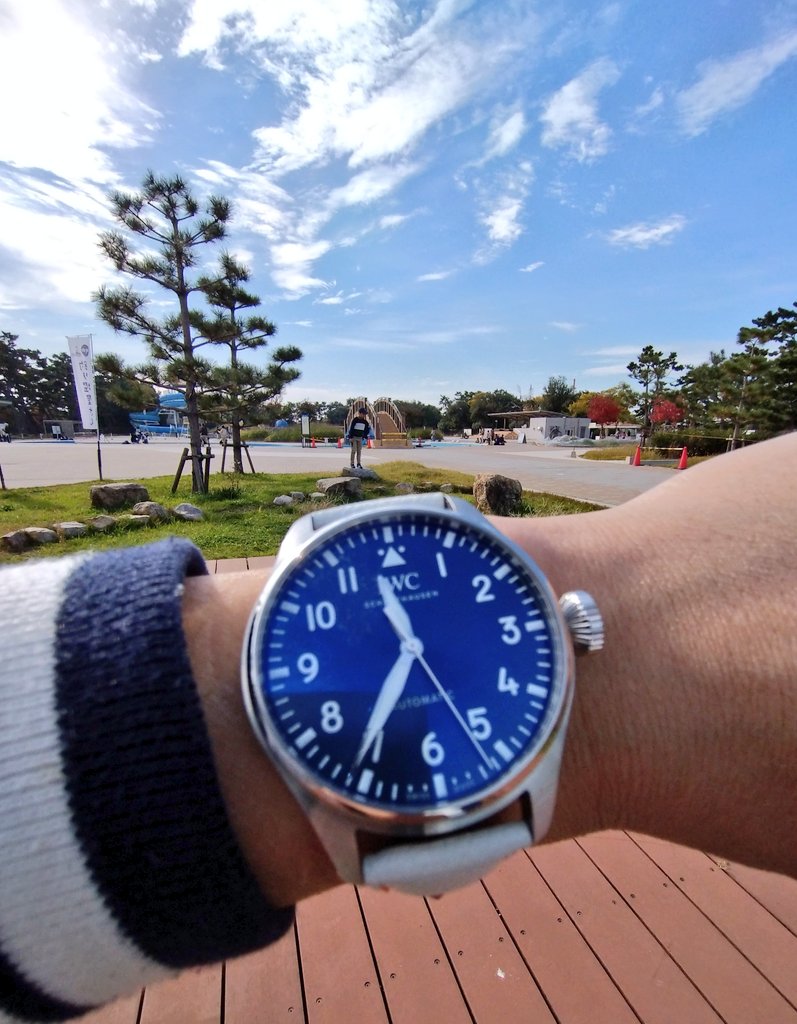 イッシーページ Zebra 223-801-00000 Barcode Label Printer - Barcodesinc.com