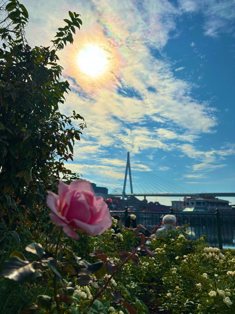 Rie (@Rie42194913) / Posts / X