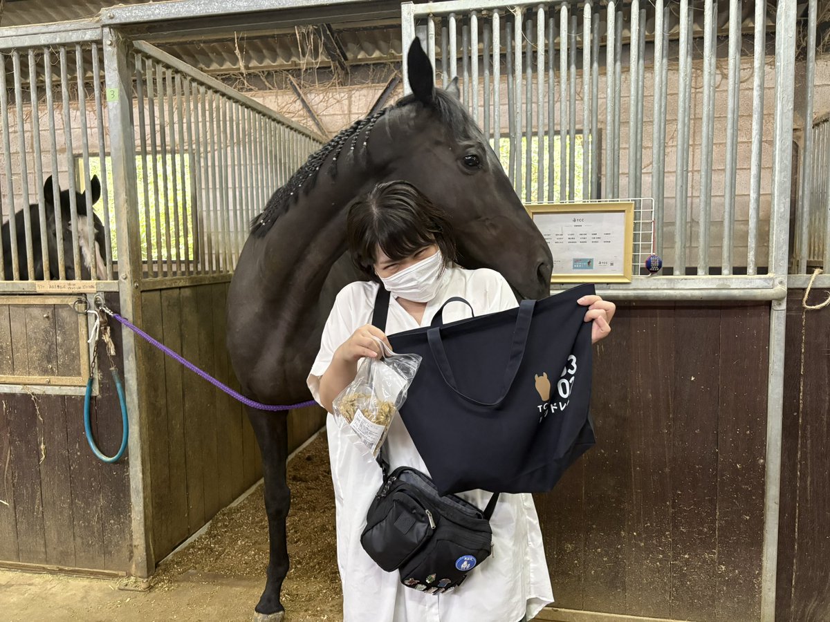 ディープインパクト