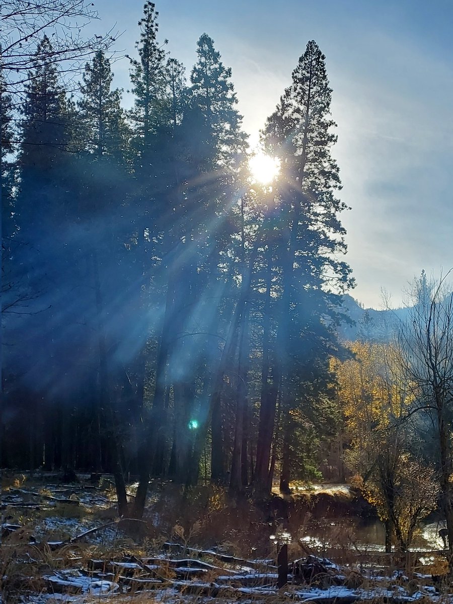 CANeetiChauhan's tweet image. Not every favorite of yours is your 🕊