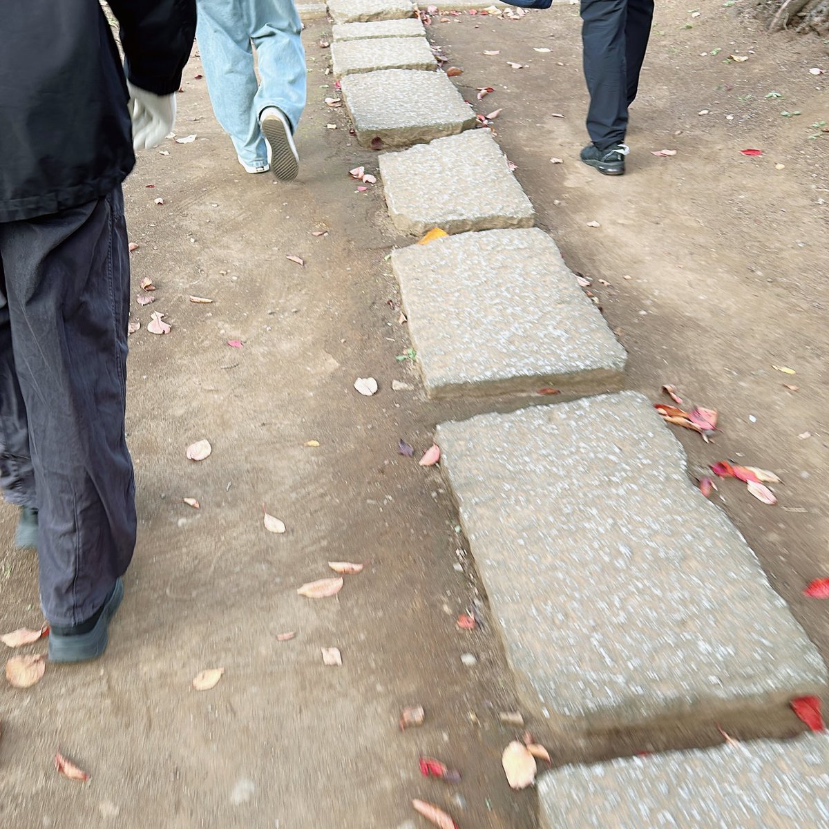 h_i_r_o_m_i_'s tweet image. 昨日はめずらしく家族全員の予定が空いていたのでみんなでお散歩に。こういう時間がしみじみ嬉しい。子どもたちはいずれ独り立ちすると思うから貴重な家族4人期間。1時間歩いて焼肉屋さんへ。また1時間歩いて帰ってきました😊