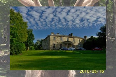 choppppppppp's tweet image. 🐡Birds feed, fish grow. Home.🚠Night moon, bed.