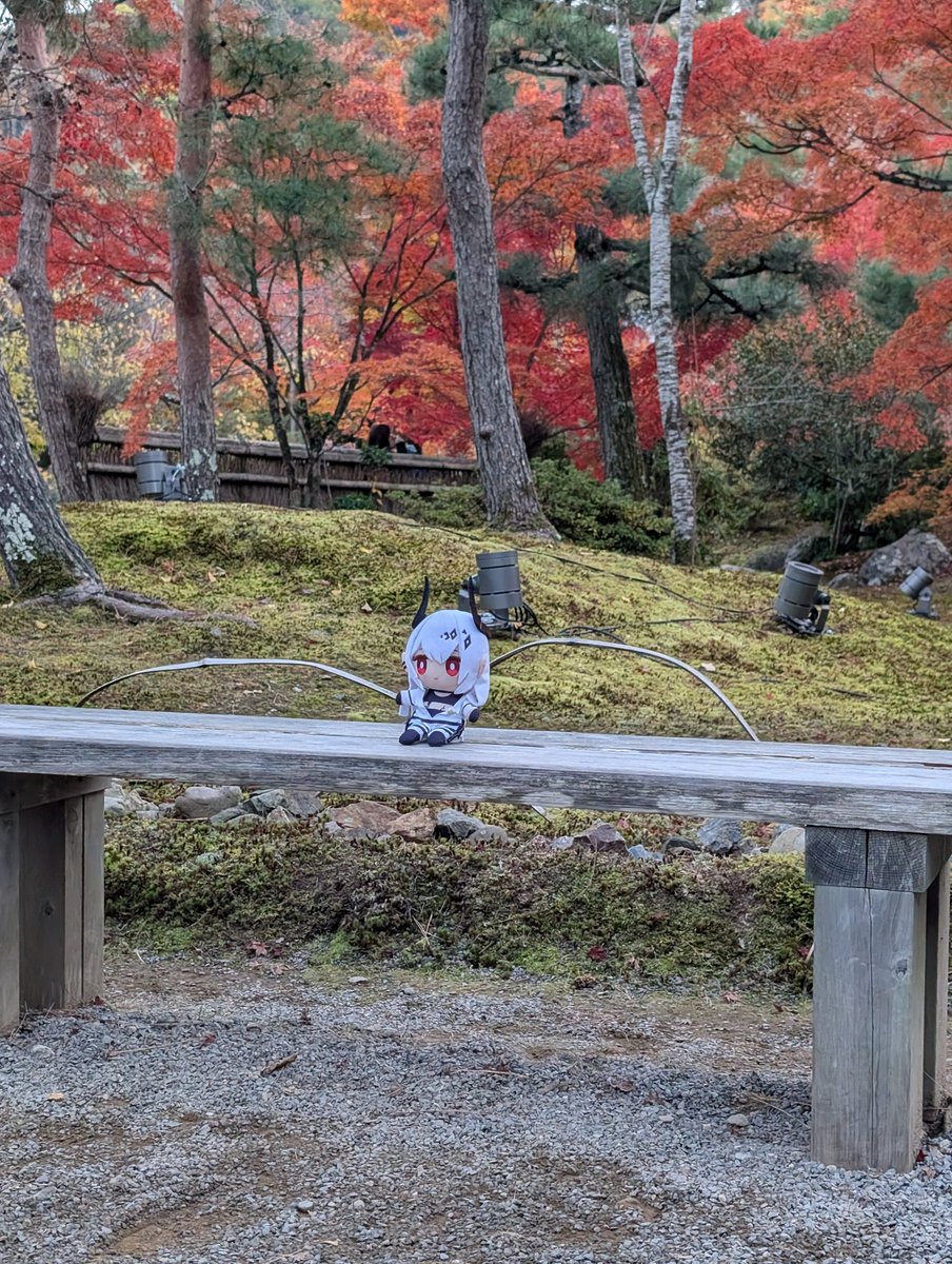 tomodach1_666 (@tomodach1_666) on Twitter photo 