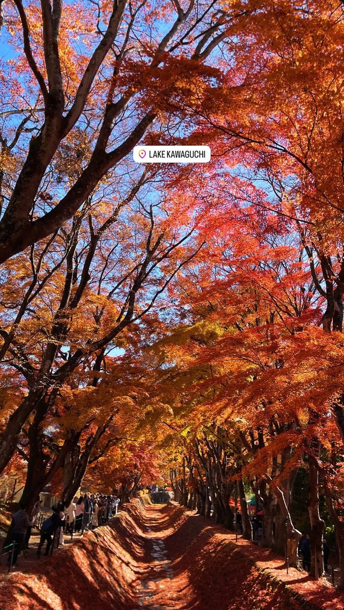 gungunhd_ofc's tweet image. 🍂

📸 IGs:  gungun_hd update 

@HdGungun 
⊂: #Fansgun | #gungunhd ♡̆̈
 #mchoiceouting2025