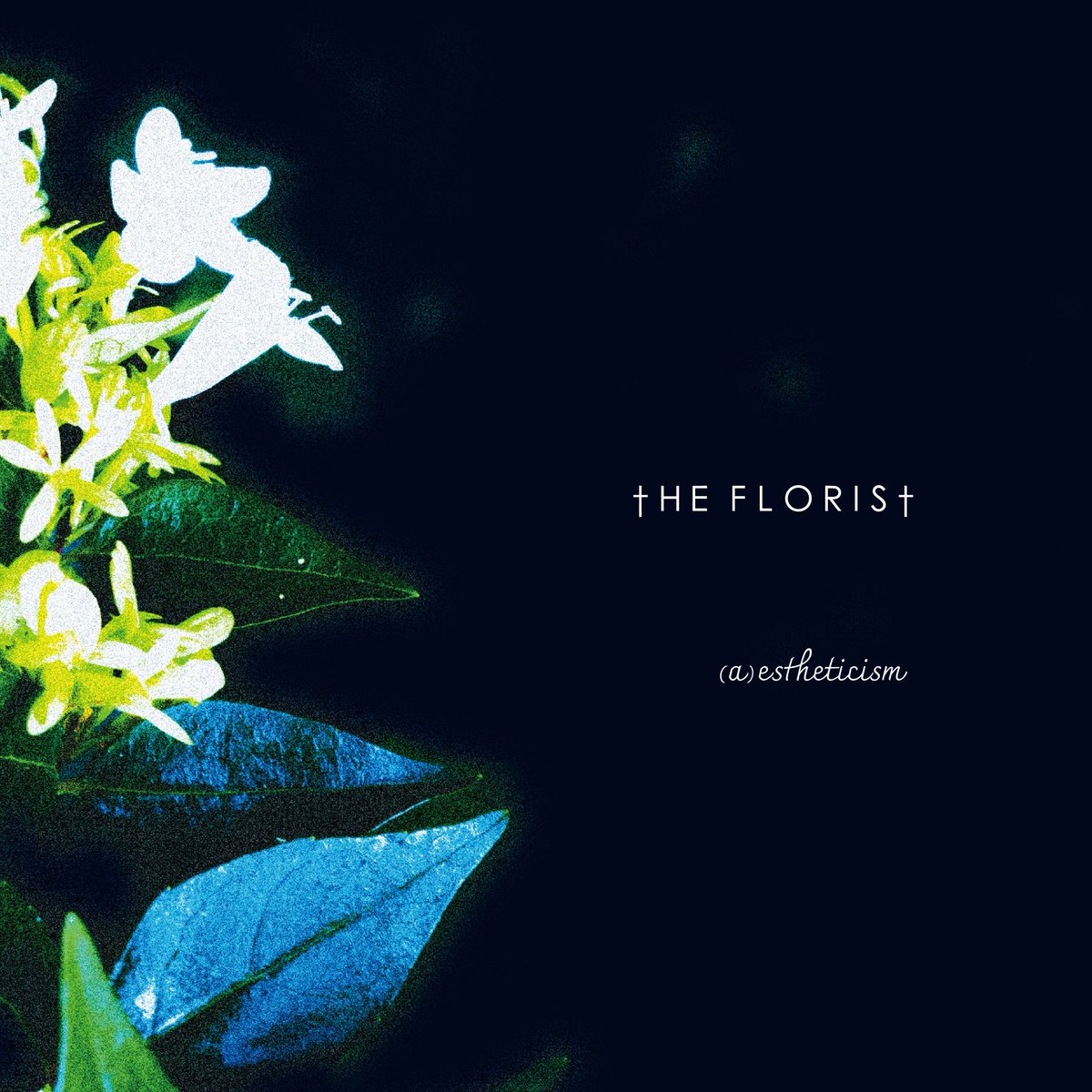 昨日は幡ヶ谷OFFBEATSでスタジオライブ！誘ってくれたfoxtrotミネギシ君ありがとうございました！
The Floristは12/24に4曲入りEPをリリースです。
それに伴う諸々も情報出てくると思うので引き続きよろしくお願いします★
skream.jp/news/2025/10/t…
