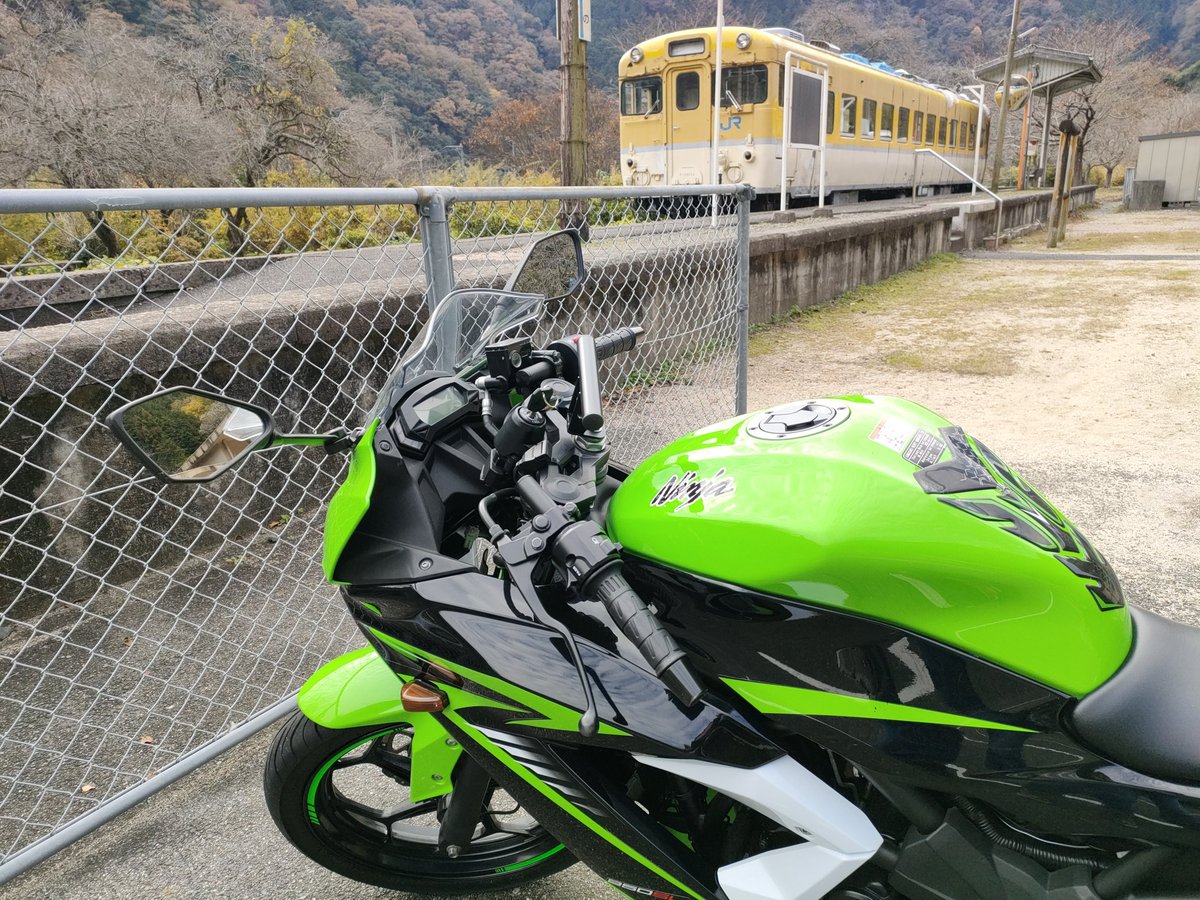 nikutama_udonW's tweet image. かっちょええなぁ…
ライムグリーンちゅう色がまたええんじゃわ。

#単気筒エンジン友の会
#ninja250sl