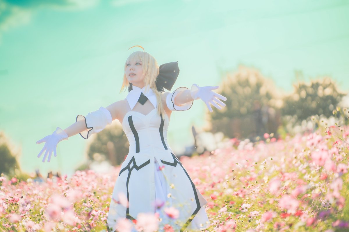 セイバー・リリィ FGO コスプレ M セイバー・リリィ FGO コスプレ M