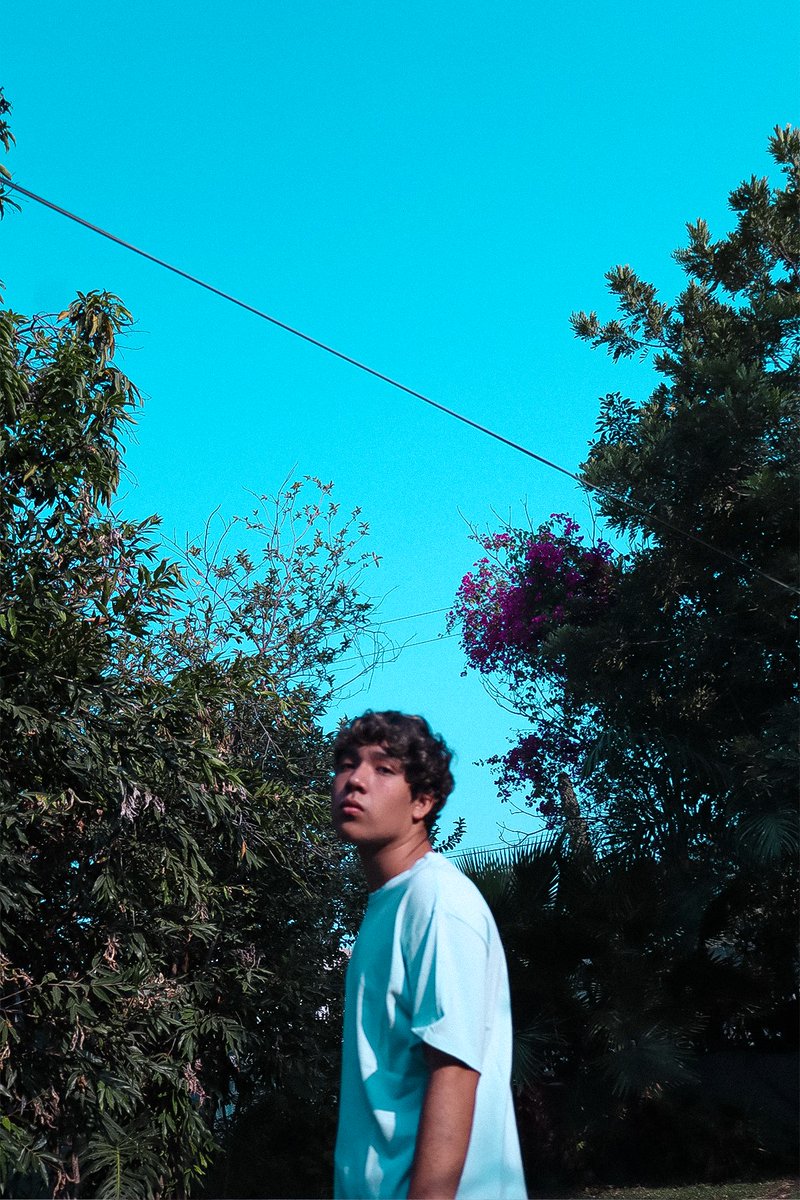 DLOL - SA tweet media