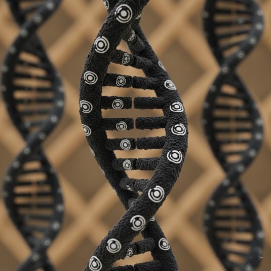 当大多数人还在讨论ZK快不快，有一个项目已经开始替协议省 gas、发利息、算影响力了。

近期看 <a href="/brevis_zk/">Brevis</a> 这个项目，大部分侧重点还是在应用上，因为技术方面已经非常透明。

所以截止到目前已累计生成超2.5亿条ZK证明，主要应用场景我会进行概括。

比如说对Uniswap