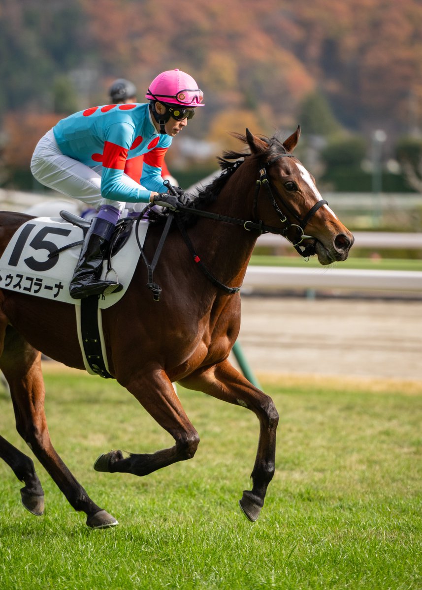 dora (@dora_3121) / Posts / X