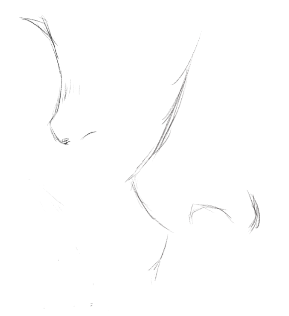 some nose sketches that ive been working on