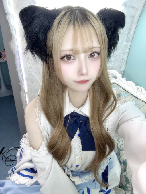 MaidCafe Pixieのツイート