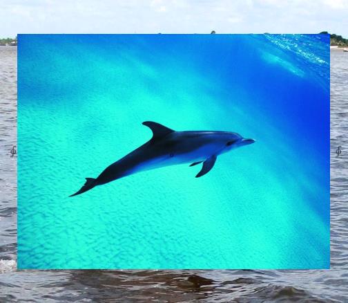 DAYZ405's tweet image. 👯Call mom, trust.🗼You help me braid my hair, messy but sweet.🤤