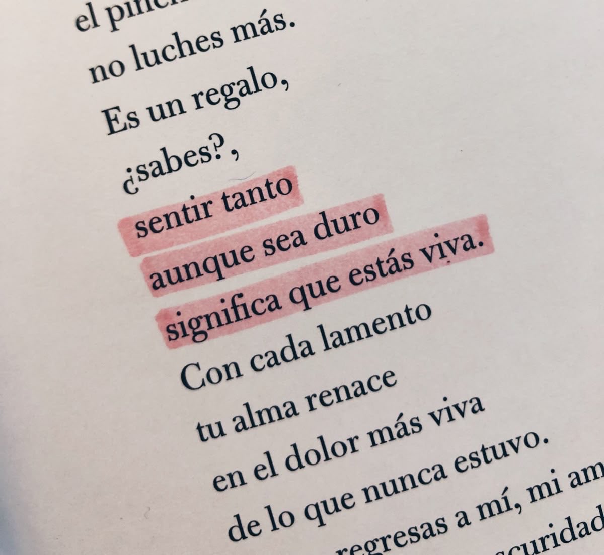 Cementedelibros's tweet photo. Un recordatorio muy necesario y bonito de la vida:
Duele pero estás viva ❤️‍🩹.
Este fragmento lo pueden encontrar en el libro “Sé que estás viva” de Nacho Abad.
Posdata, se vienen nuestros clubes de lectura. Si quieres ser parte escríbenos un mensaje directo
#cementeriodelibros https://t.co/bJgUnFo2Qt
