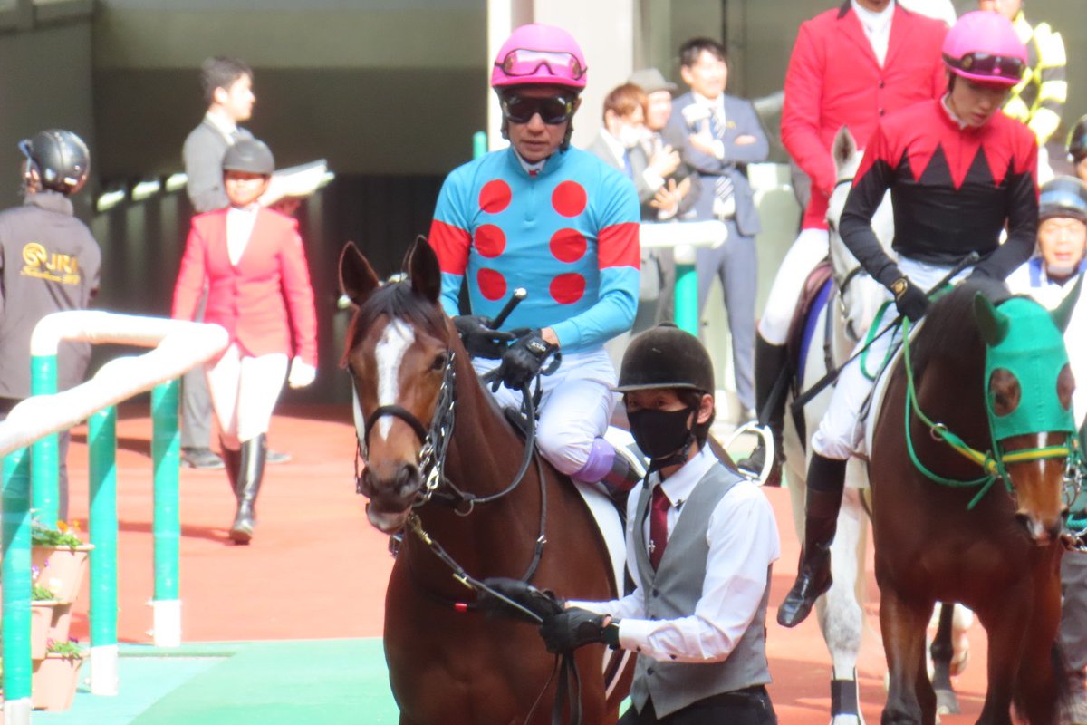 秋の福島競馬に武豊騎手参戦は初？ シルクの勝負服の豊さんは珍しいな 