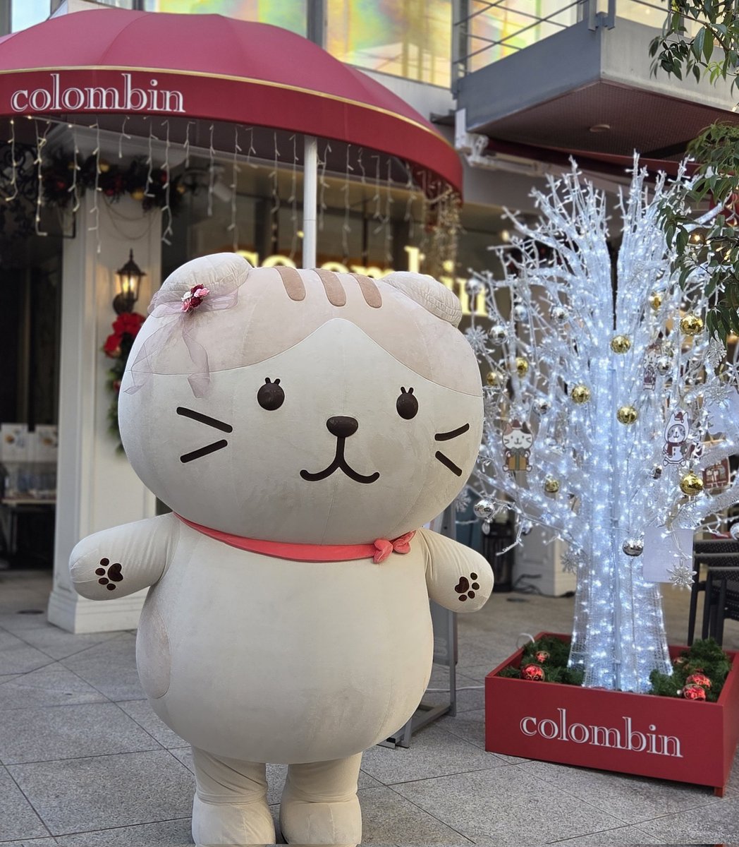 summer_yan2925's tweet image. コロンバン最終日行ってきました✨
可愛いスコアとシャーシャにも会えて幸せでした🐝😺💕

#ふくふくにゃんこ　#ふくふくにゃんこ集会　#コロンバン