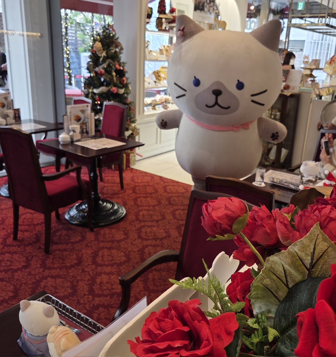 summer_yan2925's tweet image. コロンバン最終日行ってきました✨
可愛いスコアとシャーシャにも会えて幸せでした🐝😺💕

#ふくふくにゃんこ　#ふくふくにゃんこ集会　#コロンバン