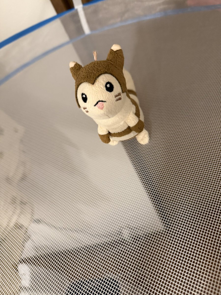 gggpokek's tweet image. 水の都ｷﾞｬｵｽ