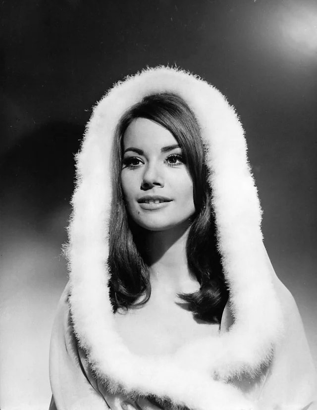 BondGirlsGalore's tweet photo. Happy Christmas Eve!

May your holiday be graced with the charm of a classic leading lady, the spark of a femme fatale, and just enough danger to keep things interesting. https://t.co/7QKmh5NIjm