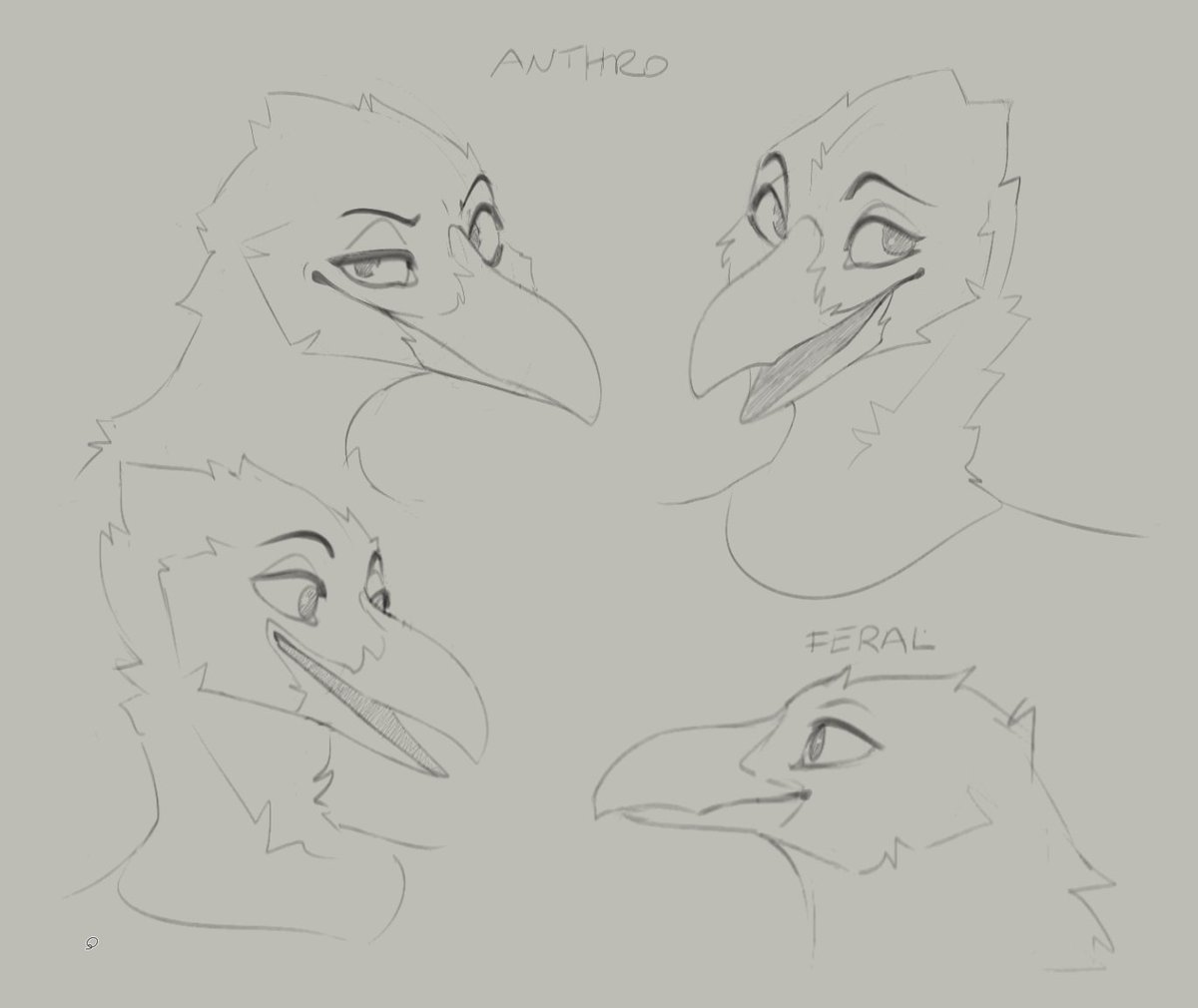 dem0npaws's tweet image. magpie boy adopt concepts!