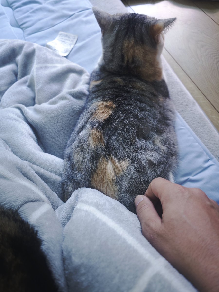 untaebi's tweet image. 起きた…
けど動けない…