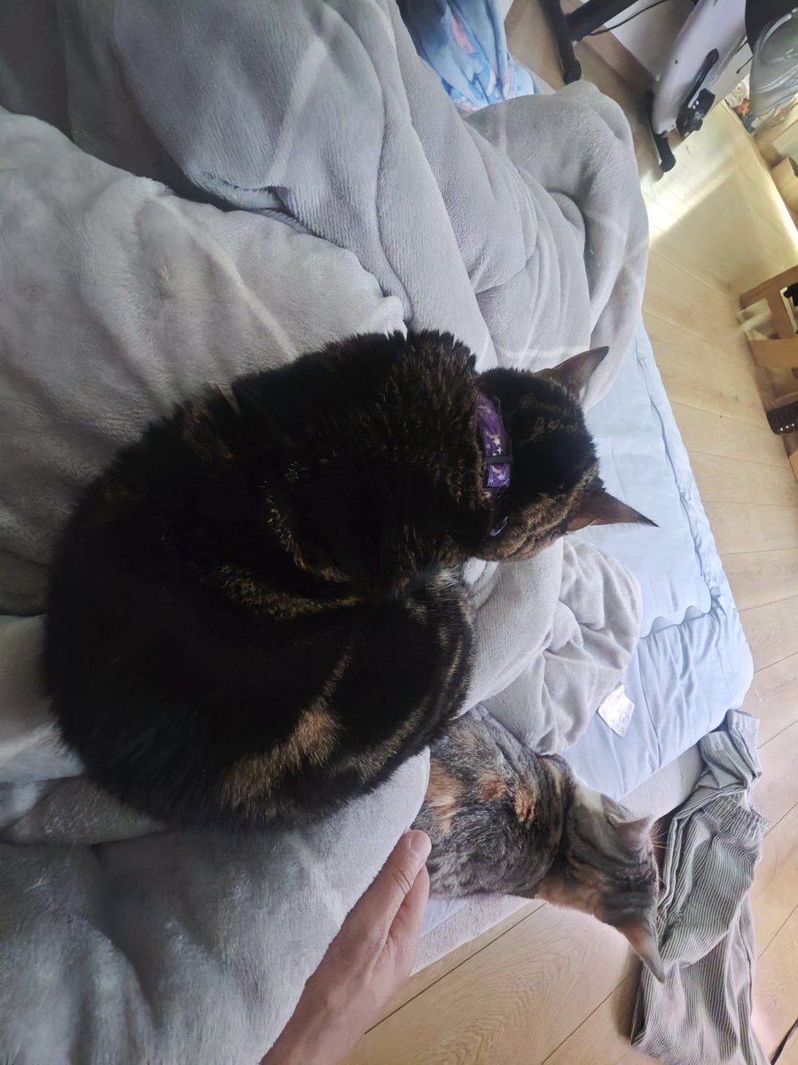 untaebi's tweet image. 起きた…
けど動けない…