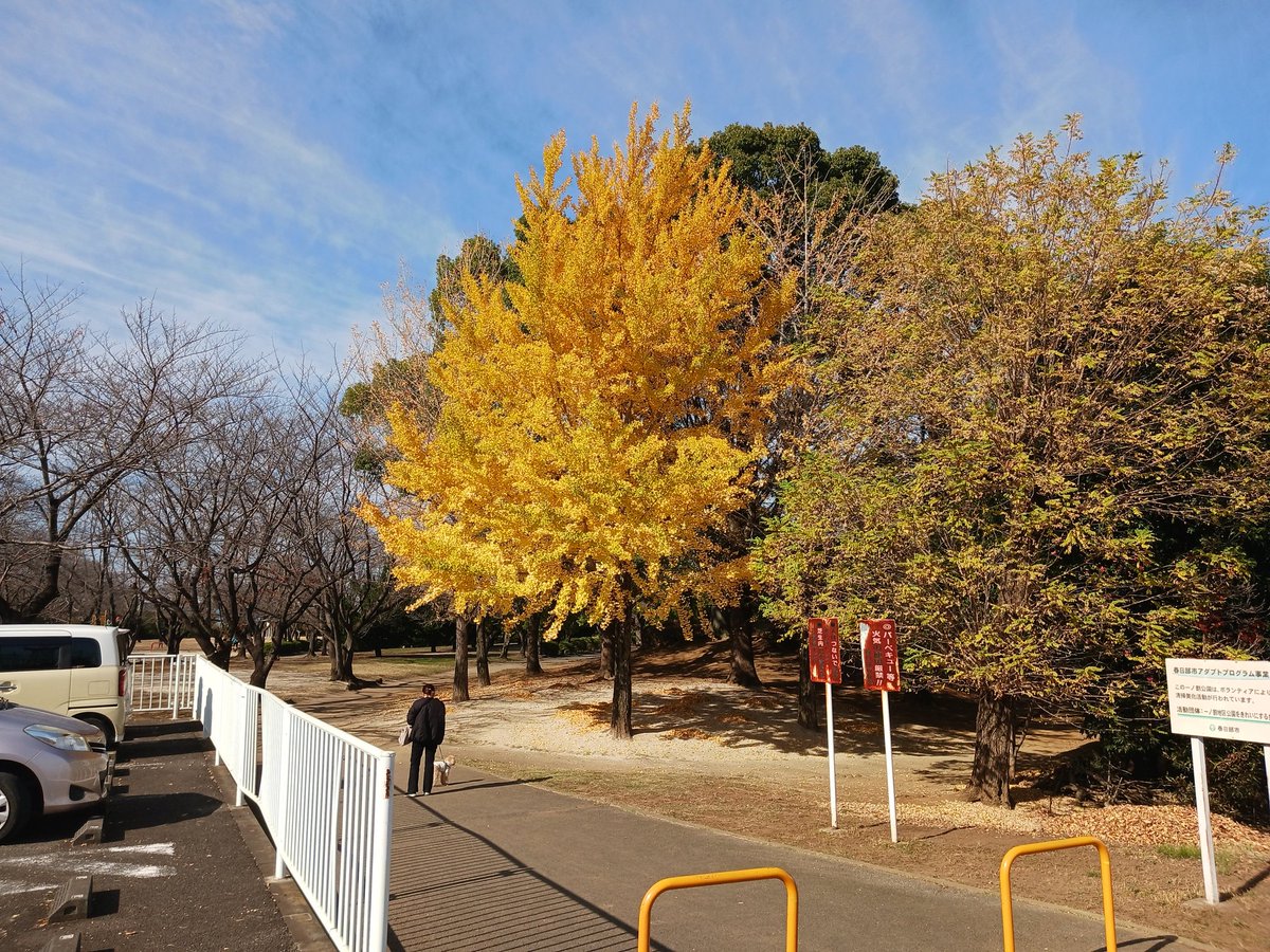 supika4512's tweet photo. 久しぶりのウォーキングで汗かきました。
冬直前のこの時期、公園の木々の化粧直しに癒されました。
太りやすいこれからの季節につき、週末のウォーキングは欠かさず継続したいと思います。 https://t.co/LuE4A03dtZ