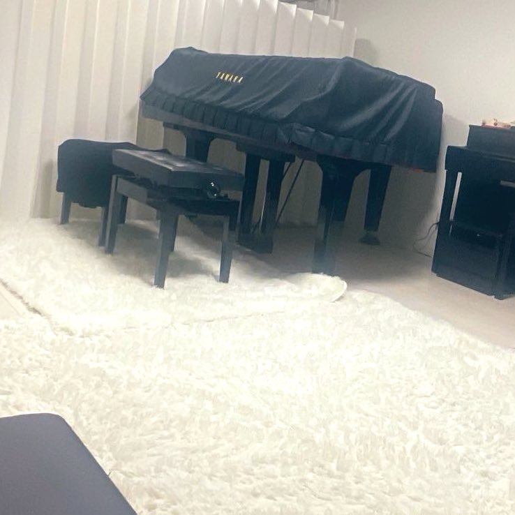 ペンギン　ピアノ Boogie Woogie Piano 